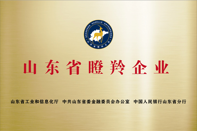 濟寧先進(jìn)院榮譽牌-06